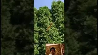 funny moments, laugh video, delightful footage, comedy central, shareable video, amusing moments