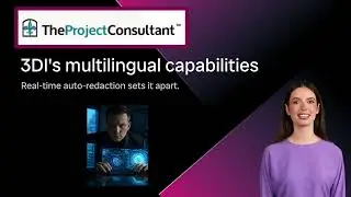 Enhanced Data Classification   The Project Consultant, LLC and RedFile AI's 3DI Data Processing