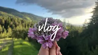 Köy sessiz vlog | doğanın büyüsü | huzurlu bir gün | Silent Vlog | 자연의 마법