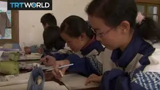 Insight:  Education Pressure - Part I