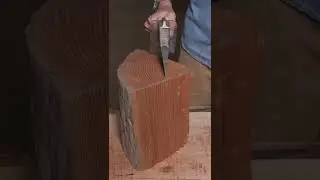 The strangest Axe Wranglerstar￼ professional homeowner