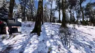 dayz rearmed