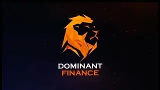 DOMINANT FINANCE | ОТЧЁТ ПО РАЗВИТИЮ КОМПАНИИ | ИНВЕСТИЦИИ |