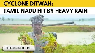 Cylcone Ditwah: Rain lashes Tamil Nadu