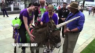 V Rentals 2012 Winner - Unicorn Chauffeur