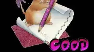 Couti