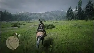Capturing the legendary *WOLF MAN* in Red Dead Redemption 2|Hardest difficulty|