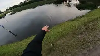 Senko Bass strikes immediately