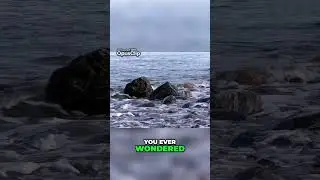 The Loudest Natural Sound on Earth  Exploring Extreme Phenomena