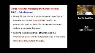 'Guide to Surgical Oncology in Small Animals' ''Prof. Dr. Awad Rizk''