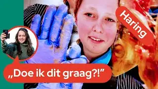 Haring verkopen voor ’t goede doel | Daniëlle vlogt #20