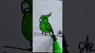 Easy Green Parrot Drawing | Cute Tota Drawing For Beginners| Tiya Paki Art #shorts #ytshorts @PMLart