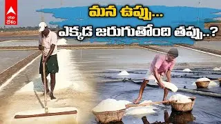 Srikakulam Naupada Salt Industry: దశాబ్దాల చరిత్ర ఉన్న నౌపడ ఉప్పు డిమాండ్ ఎందుకు తగ్గిపోయింది?
