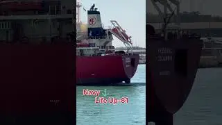 How Big Cargo Ships Float #shorts #shipping #maritime #cargoship