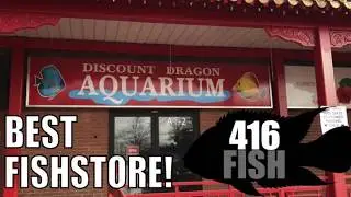 Discount Dragon Aquarium