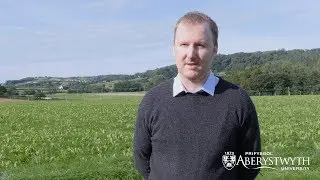Find out more about studying Agriculture at Aberystwyth University