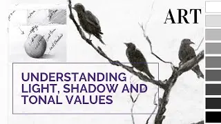 Introduction to Light Shadow and Tonal Values | Art | pencil shades | sunartcafe and sunitha | 03