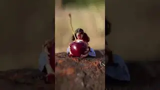 Fairy Photography 101 🧚🏼&zwj;♀️ #Shorts #fairies #photography #photographer #photographylovers #viral