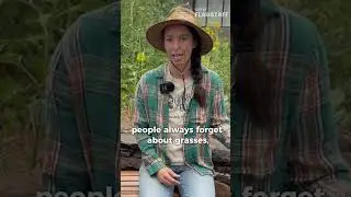 How to Start a Native Garden
