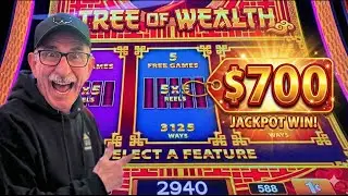 Watch This INSANE Tree of Wealth Run!