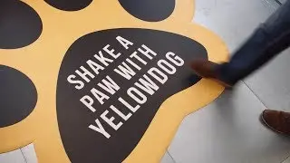 Oracle Cloud: YellowDog, les donn&eacute;es derri&egrave;re le film