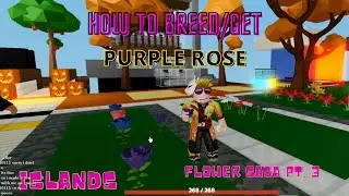 How to breed - GET PURPLE ROSE / FERTILE PURPLE ROSE - FLOWER SAGA pt.2 - islands - Roblox