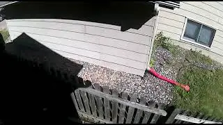 Creepy Neighbor Caught on security camera drunk as a skunk
