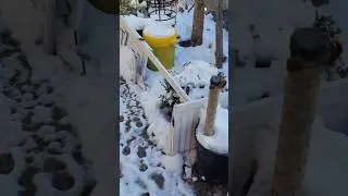 Snow fall in New Jersey USA #snowfall #usa #kgrusa #beautiful #snow #weather #wonderful #nature