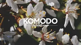 Meditation Music 10 Minutes 