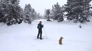 Wanderung Oderbr&uuml;ck-Brocken 24.01.2021