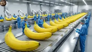 From Farm to Factory: Banana Bread Full Process Inside Factory | How It’s Made
