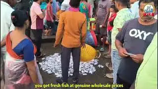 When experience speaks, quality follows | Vishwarupa Fishland