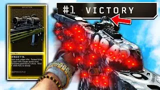 IRON SIGHTS on the VENDETTA is GODLY!! (CoD Blackout Hot Pursuit)