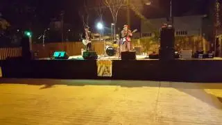 Muddy Flowers - Bloodletter Blues
