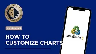 How to Customize Charts & Add Indicators | Getting Start on MT5
