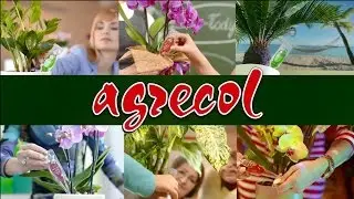 Agrecol - Seria 