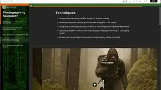 Articulate Rise 360- customize your theme with CSS