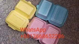 PS GPPS Foam food box machine PS food container machinery manufacture 1