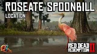Roseate Spoonbill Location - Red Dead Redemption 2