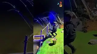 Слишком много рыбы сразу | Подготовка к ночной рыбалке