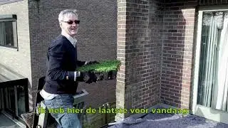 Kan ik zelf een groendak aanleggen? Dirk vertelt.