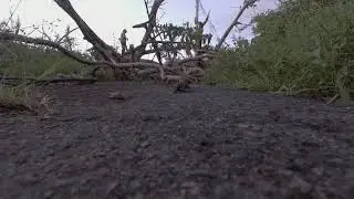 Hurricane Maria Tower Damage - Drone Video by Silo Wireless