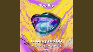 Too Fly