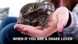 What IF - YOU ARE A SNAKE LOVER!