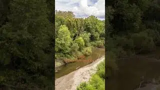 80.8 Acres, Clark County, MO