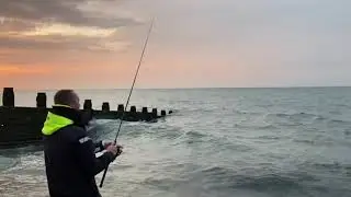 Mackerel fishing in Eastbourne