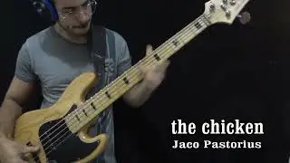 the chicken