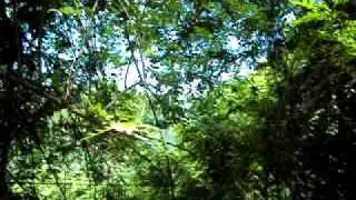Bumping and Grinding at a spine-chilling ride in Ella Adventure Park