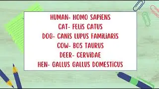 Scientific names of some common animals and insects