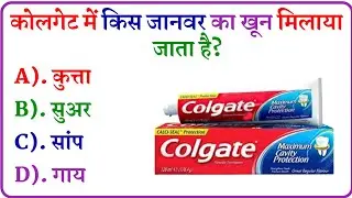 Top 20 Most Brilliant GK Questions And Answers ||UPSC, IPS, IAS Interview Questions||